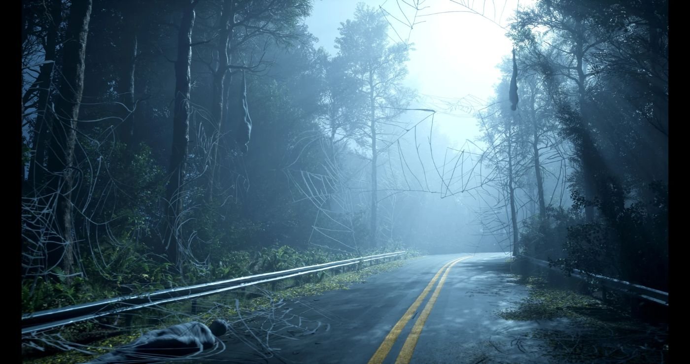 Foggy forest road scene